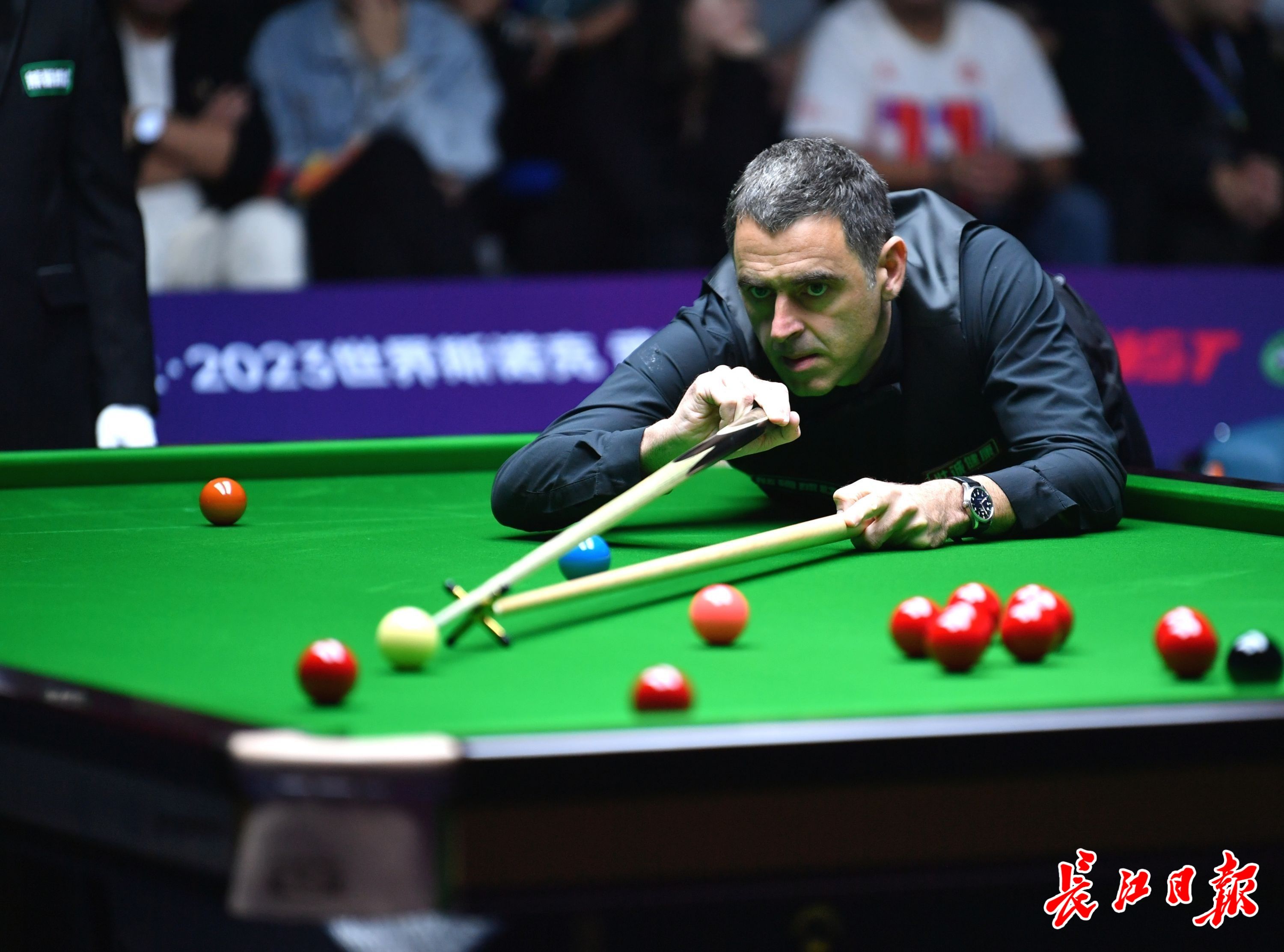 肋照得纤毫 肋照得纤毫